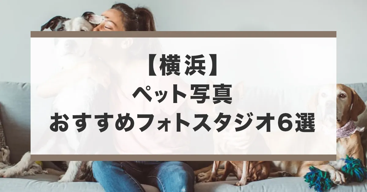 横浜でおすすめのペット写真が撮影できるフォトスタジオ