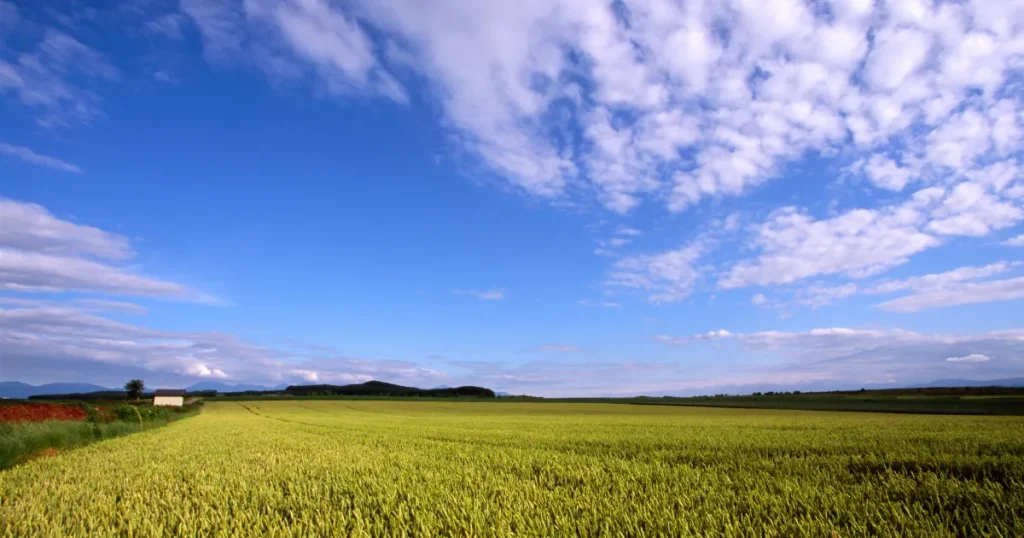 北海道旭川