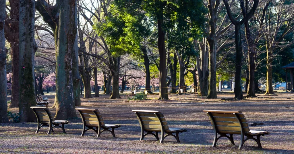東京の代々木公園