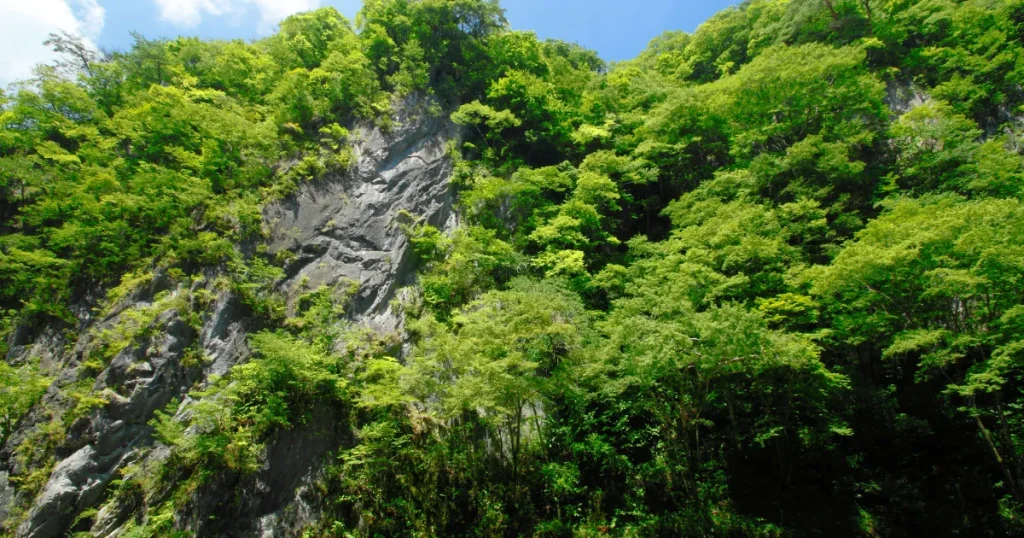 岩手県一関市