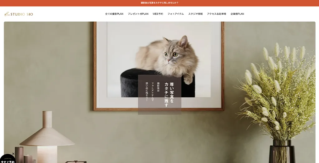 ペットと家族の写真館 STUDIO SIO公式サイト