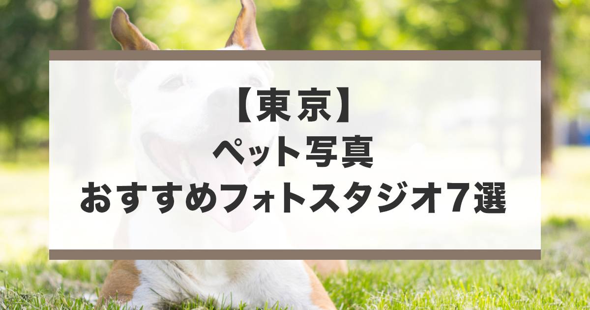 東京でおすすめのペット写真が撮影できるフォトスタジオ