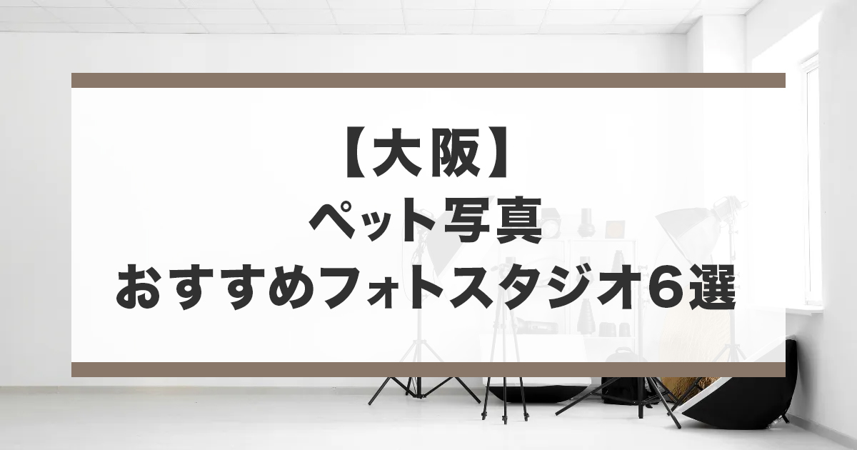 大阪でおすすめのペット写真が撮影できるフォトスタジオ
