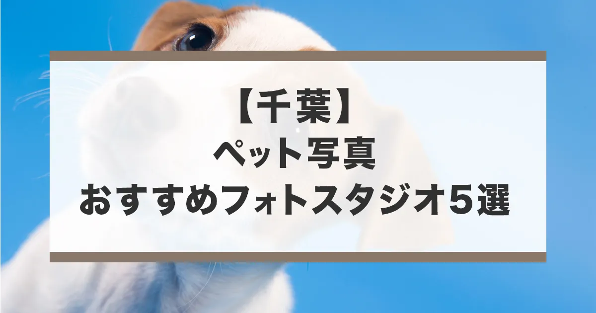 千葉でおすすめのペット写真が撮影できるフォトスタジオ