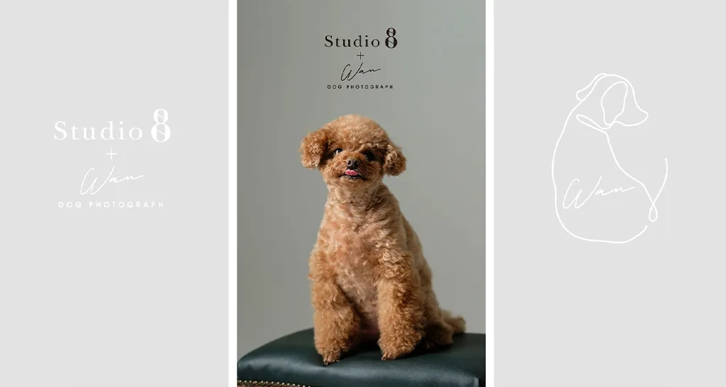 Studio8+Wan公式サイト