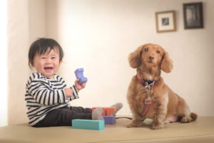 少年と犬