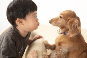 犬と子供が向かい合う
