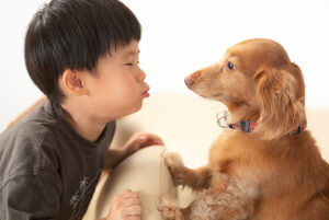 犬と子供が向かい合う